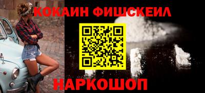 крисы Камышлов