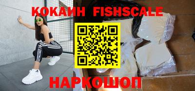 крисы Камышлов