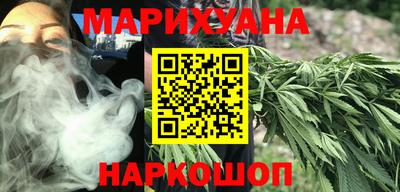 крисы Камышлов