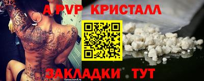 крисы Камышлов