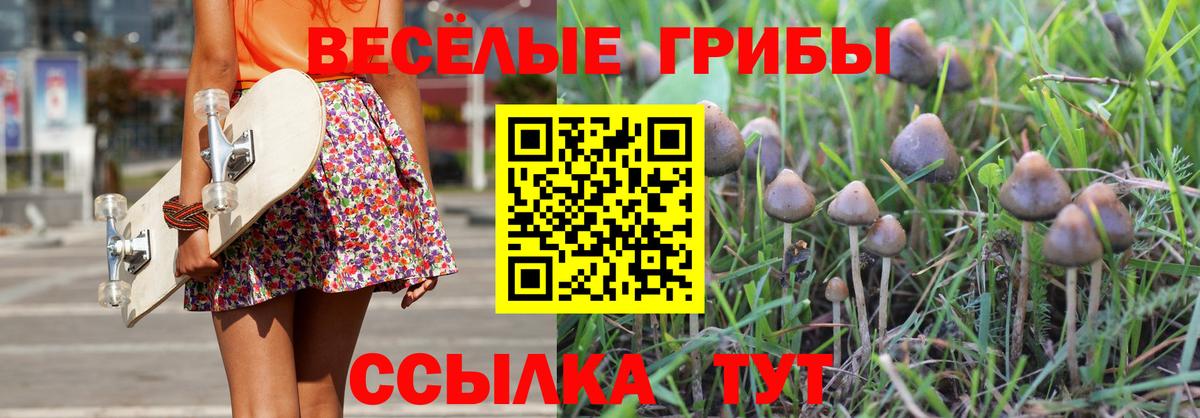 Галлюциногенные грибы ЛСД  Вход с VPN  Буйнакск 