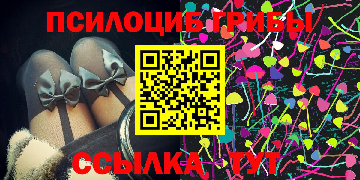 Псилоцибиновые грибы GOLDEN TEACHER Буйнакск